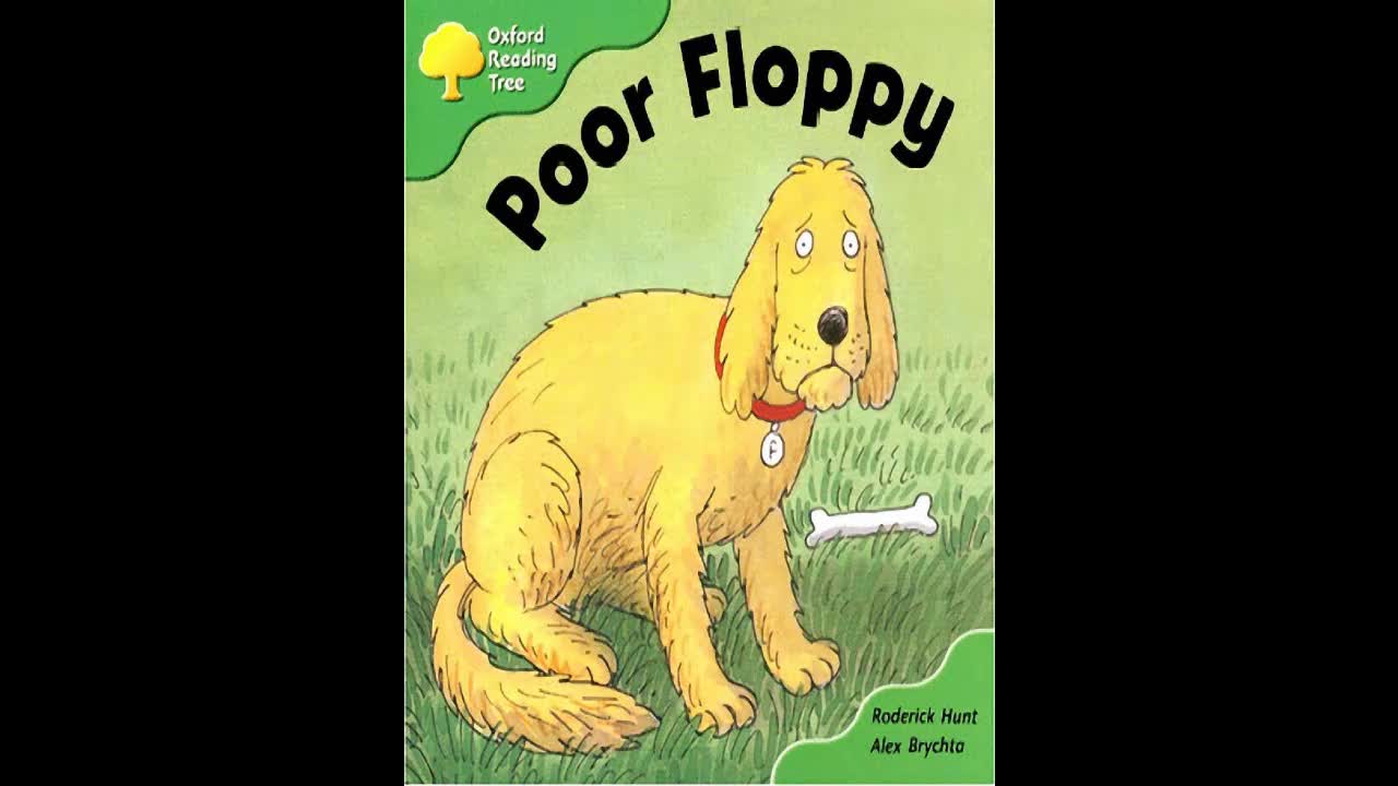 Poor Floppy