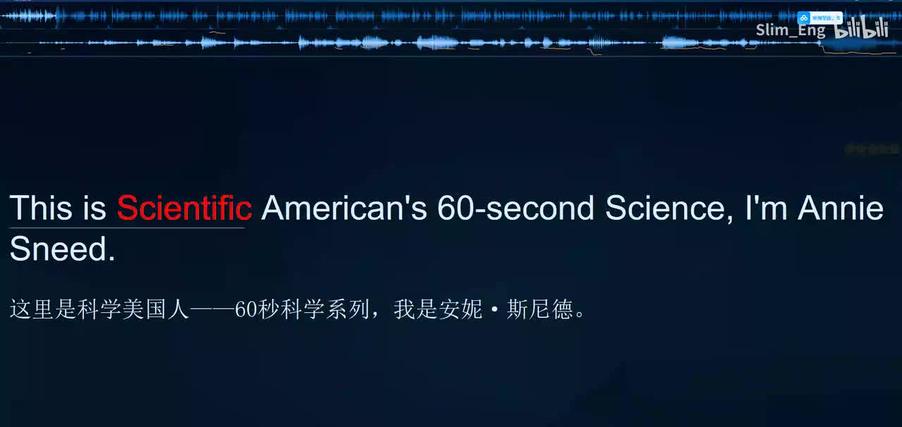 0114 科学美国人- 海洋塑料气味令海龟着迷