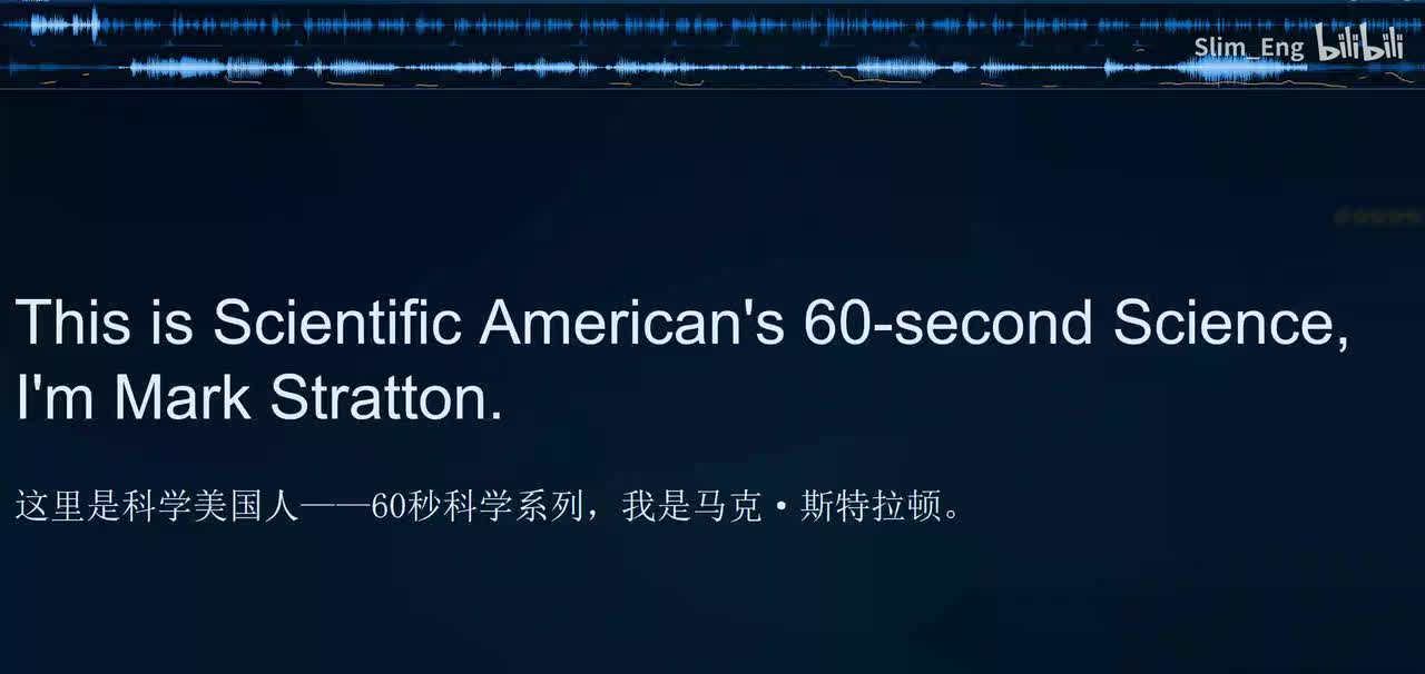 0148 科学美国人- 斑马的颜色可以驱赶苍蝇