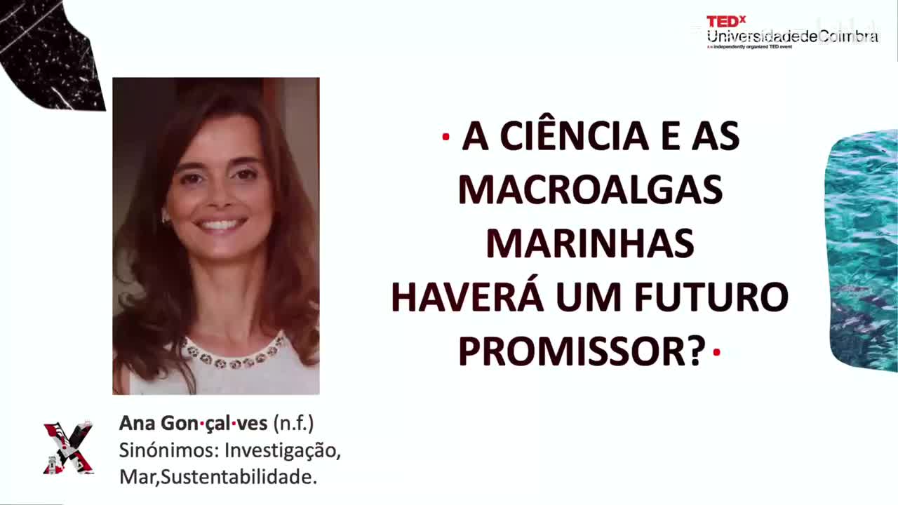 【葡语字幕】105.科学与海洋巨藻——充满希望的未来