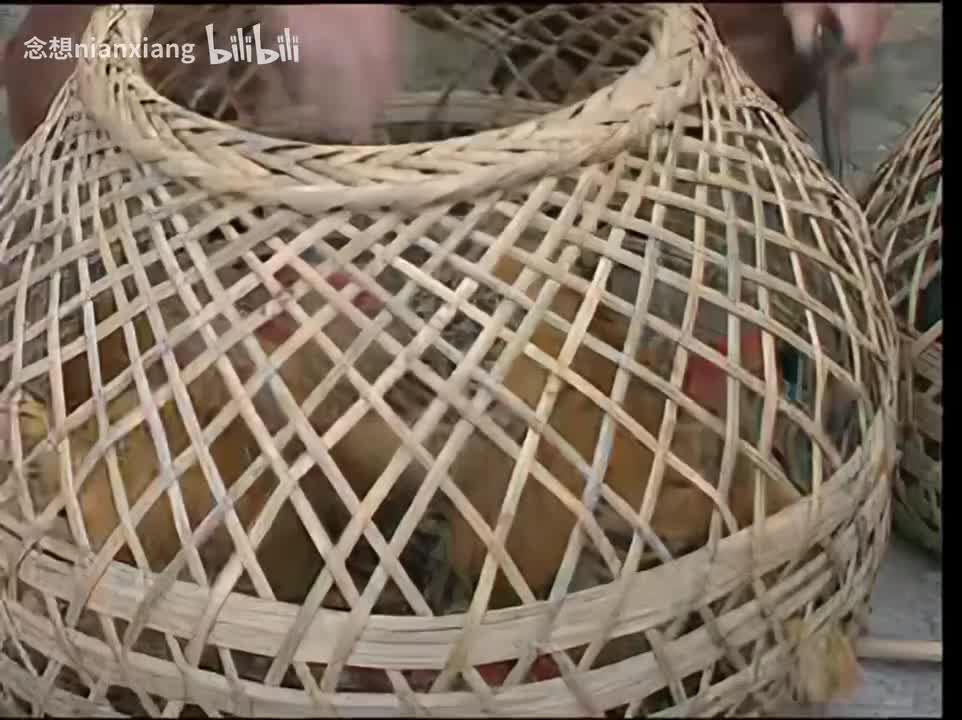 【VCD4k修复】19.第3部3：看唔见 雄保