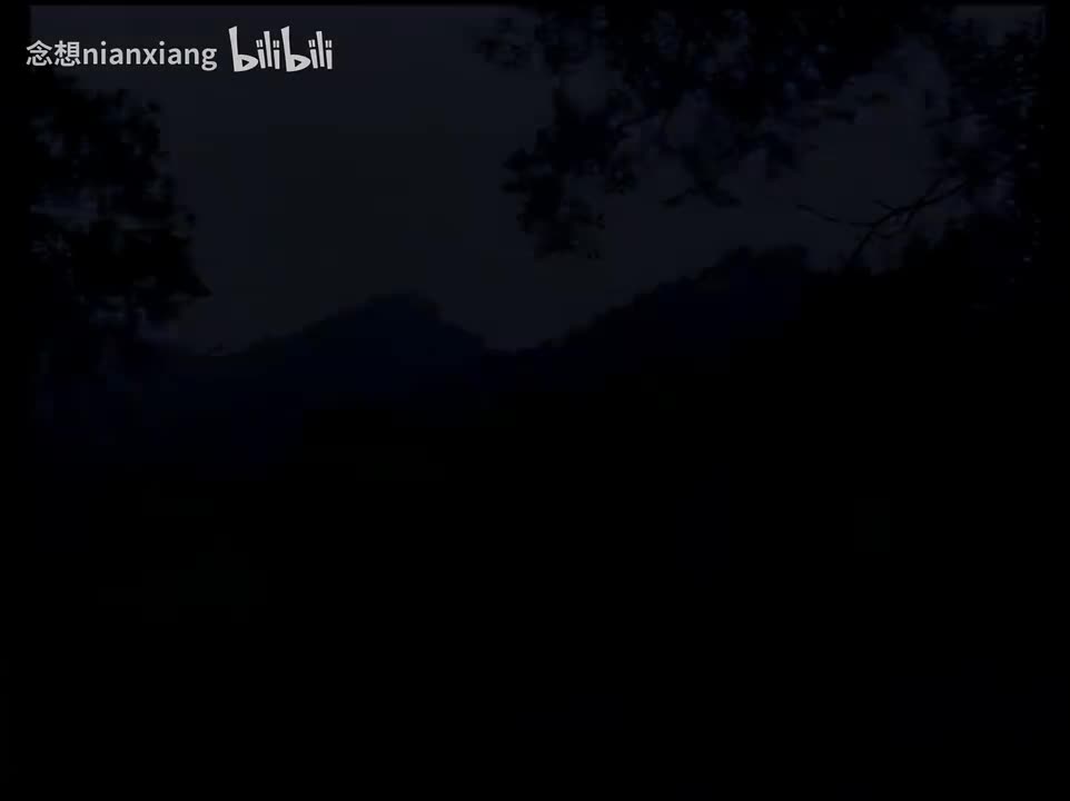 【VCD4k修复】24.第4部2：巧治逆子