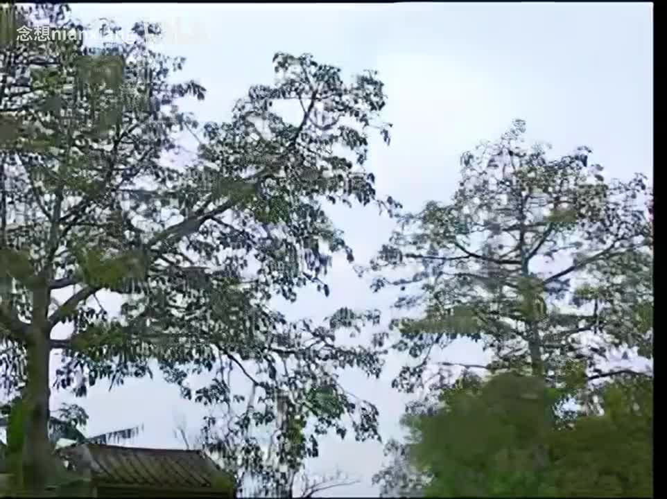 【VCD4k修复】21.第3部5：偷鸡蚀米