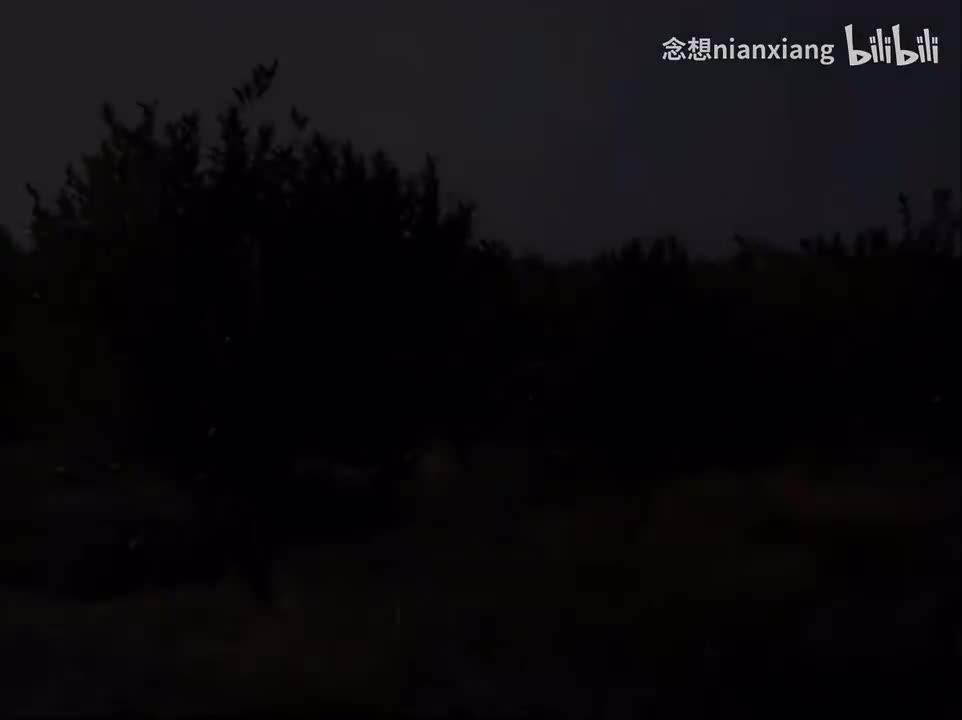 【VCD4k修复】27.第5部2：巧治畏嬷村-一身正气