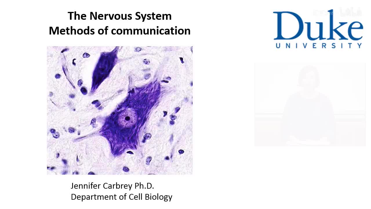 p10_01_methods-of-communication