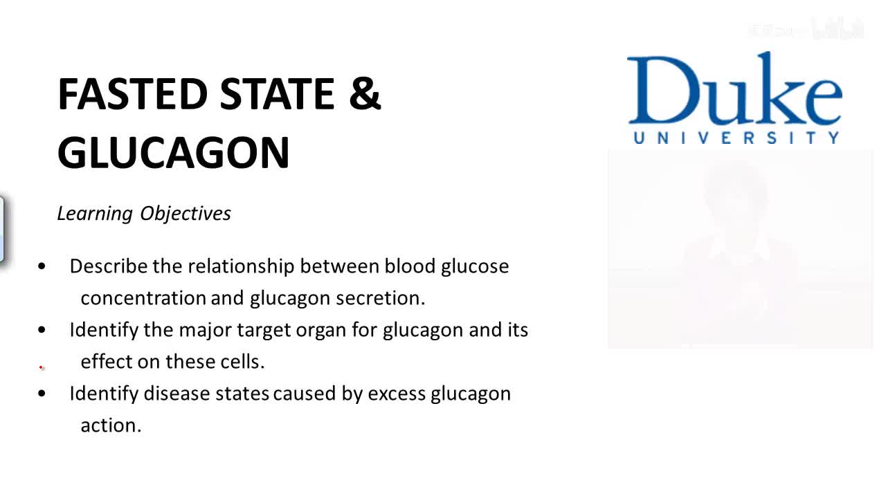 p39_02_fasted-state-and-glucagon