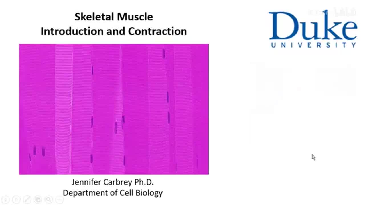 p17_01_intro-and-contraction