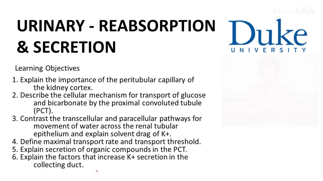 p50_03_reabsorption-and-secretion
