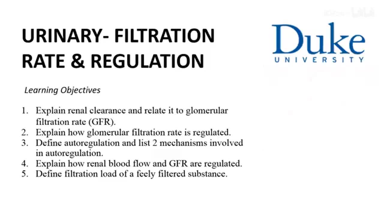 p49_02_filtration-rate-and-regulation