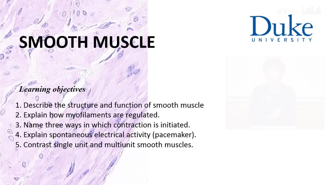 p19_01_smooth-muscle-structure-regulation-and-pacemakers