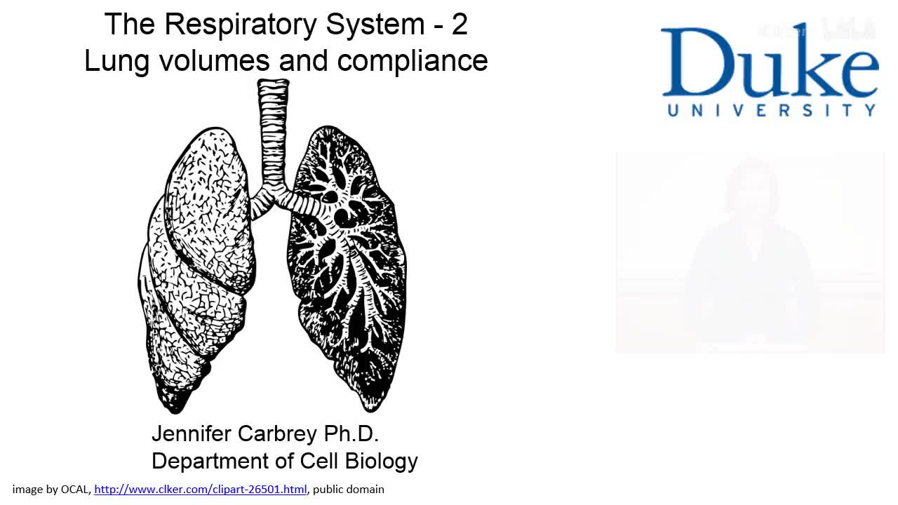 p27_02_lung-volumes-and-compliance