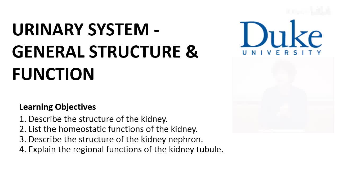p48_01_general-structure-and-function