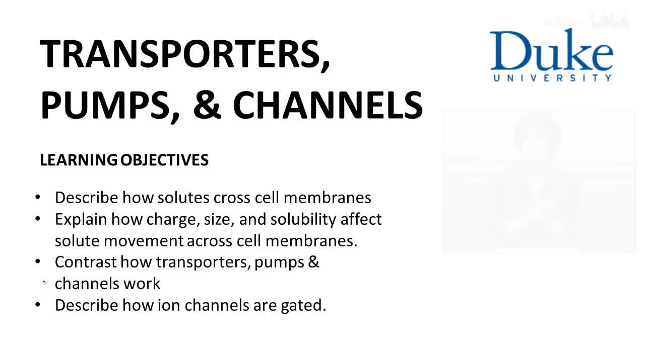 p3_03_transporters-pumps-and-channels