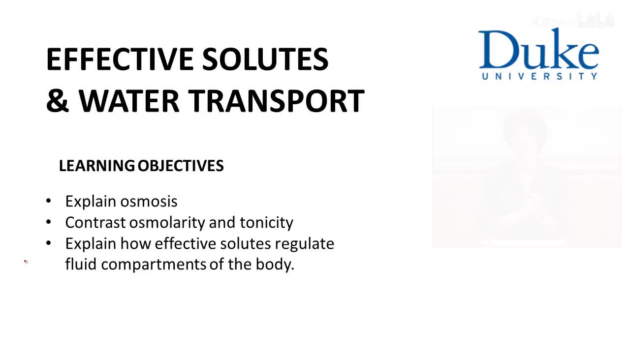 p4_04_solute-and-water-transport