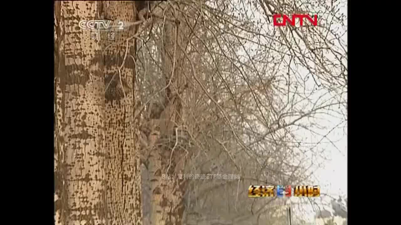 林园2011年央视采访03