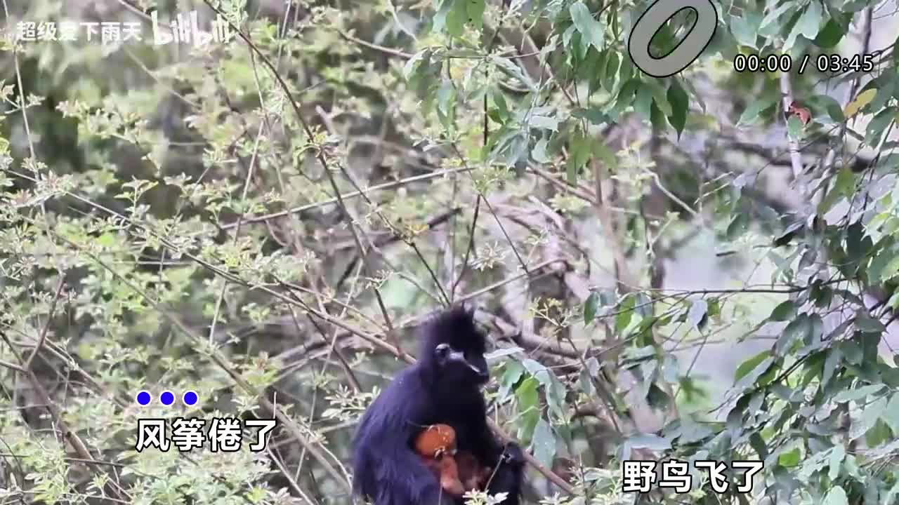 112.林志炫-你永远不知道