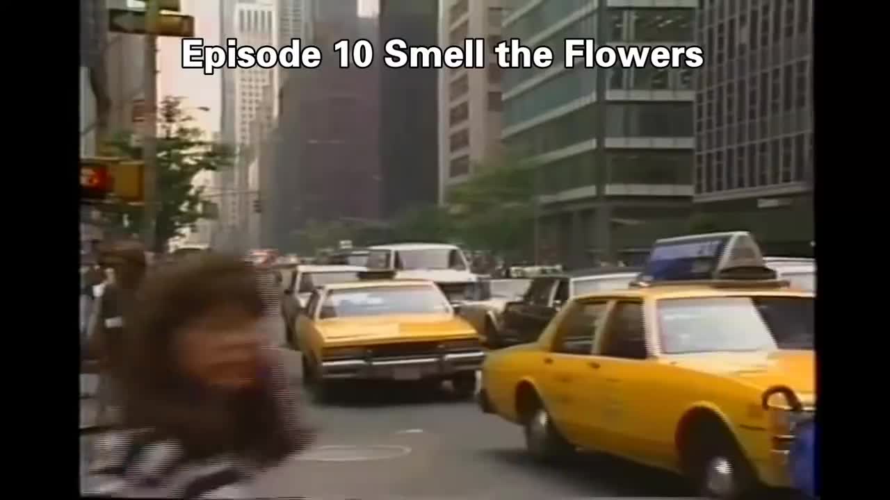 重制高清版 Family Album USA E10走遍美国 第10集 中英字幕 重温经典英语教材