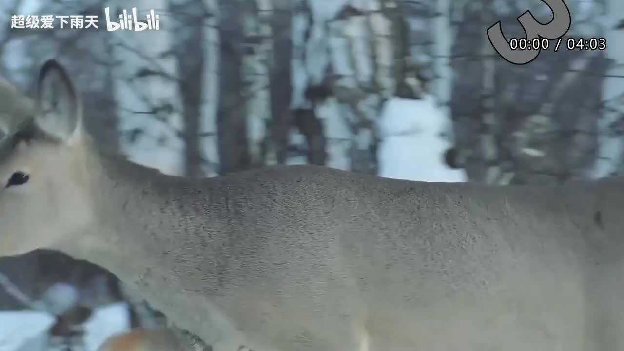 122.许茹芸-独角戏