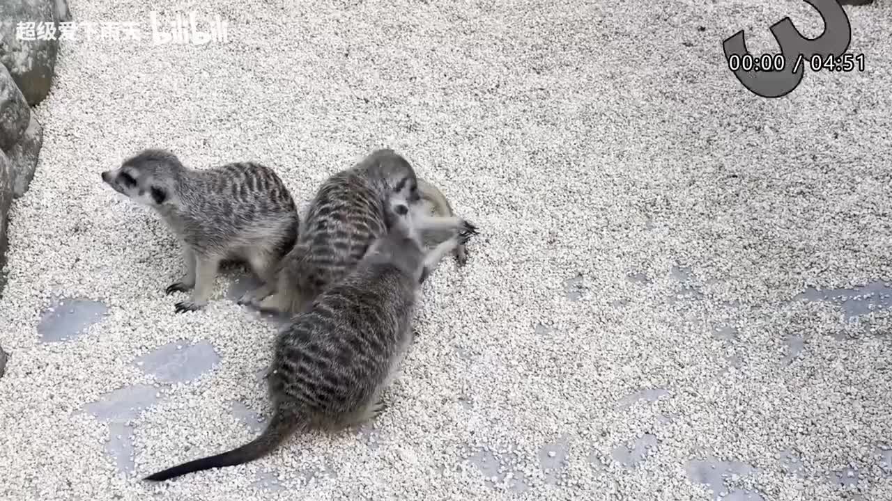 010.腾格尔-天堂