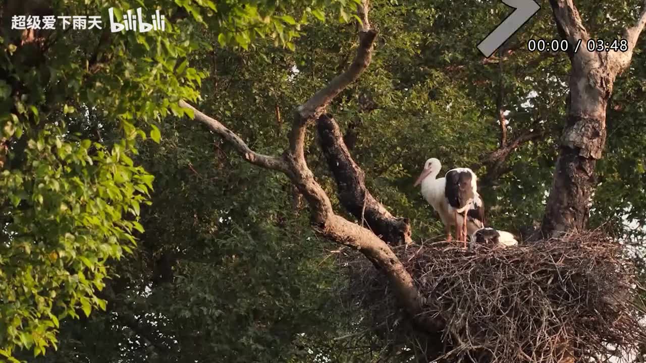 117.胡夏-每天想你一遍