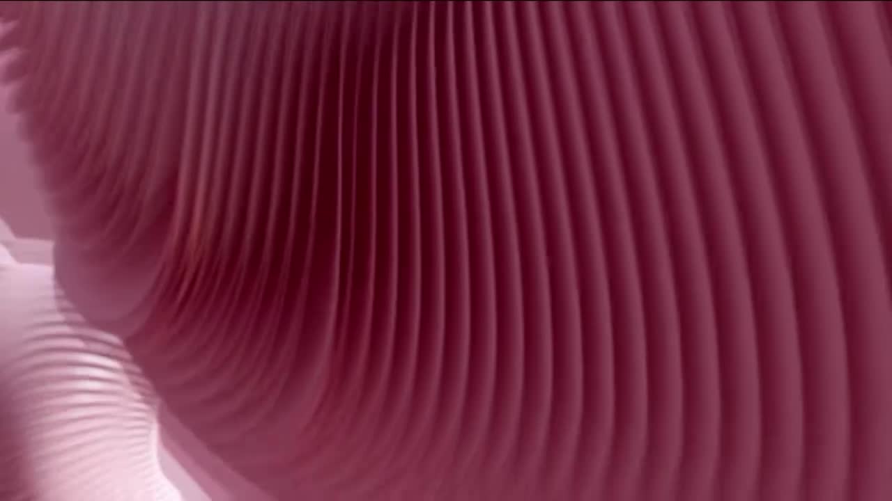 非PG提示（情绪不安）一路同行 20250111_090240