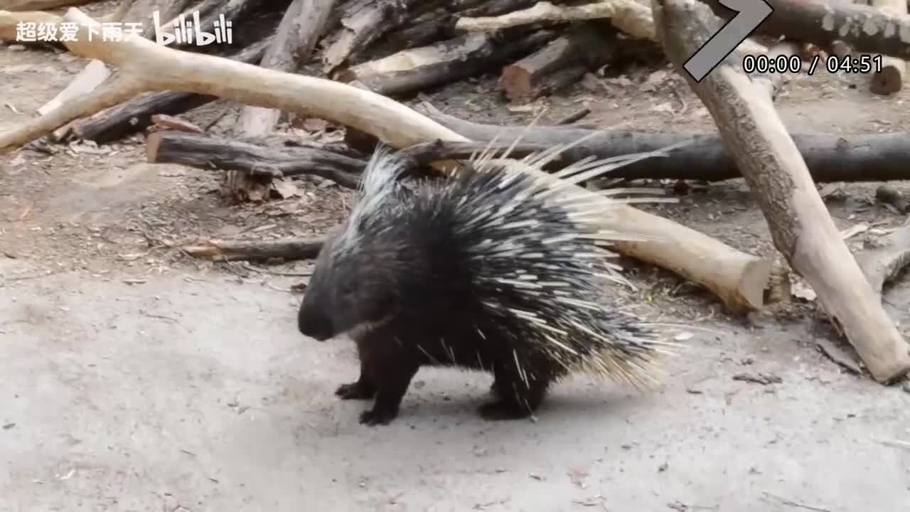 127.谭咏麟_周蕙-约定