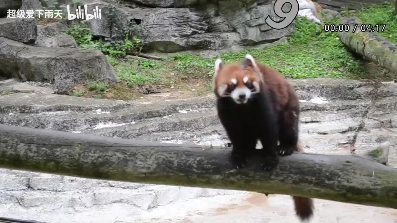 113.HENRY刘宪华-明明就