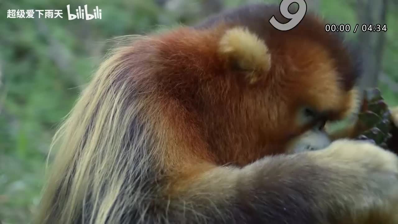 108.周深_刘畊宏-回到过去