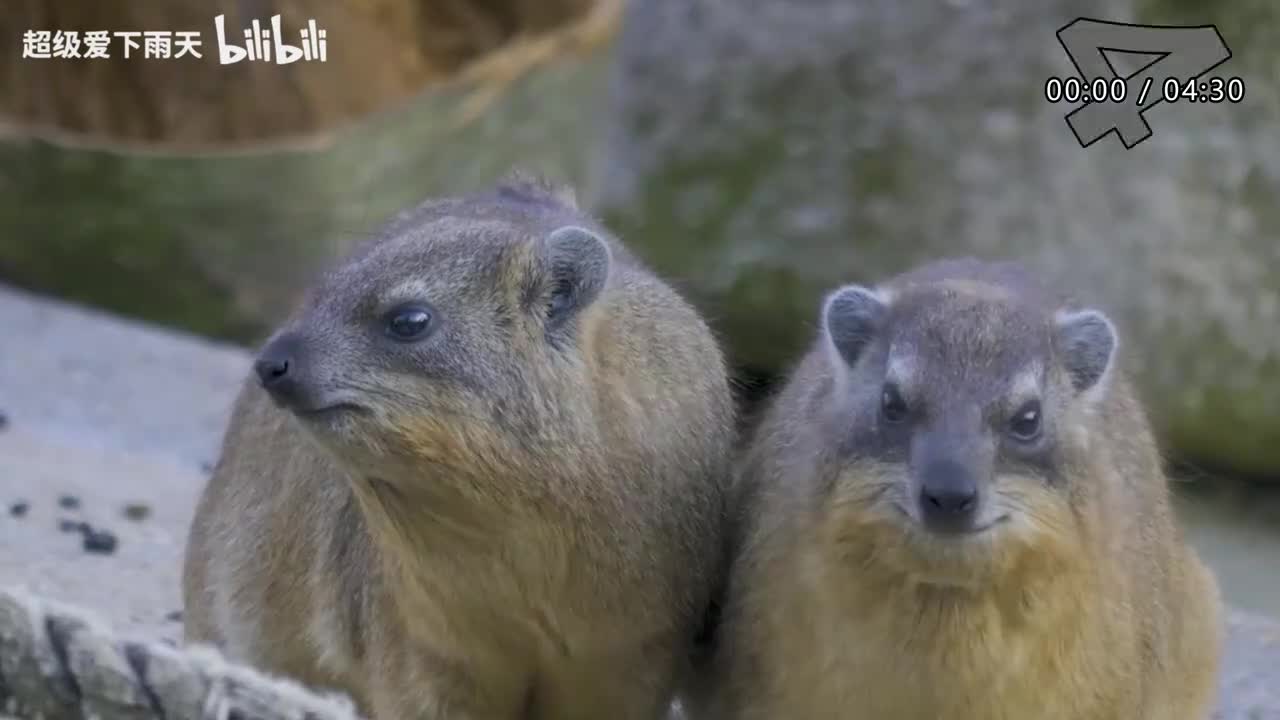 126.陈立农-天黑