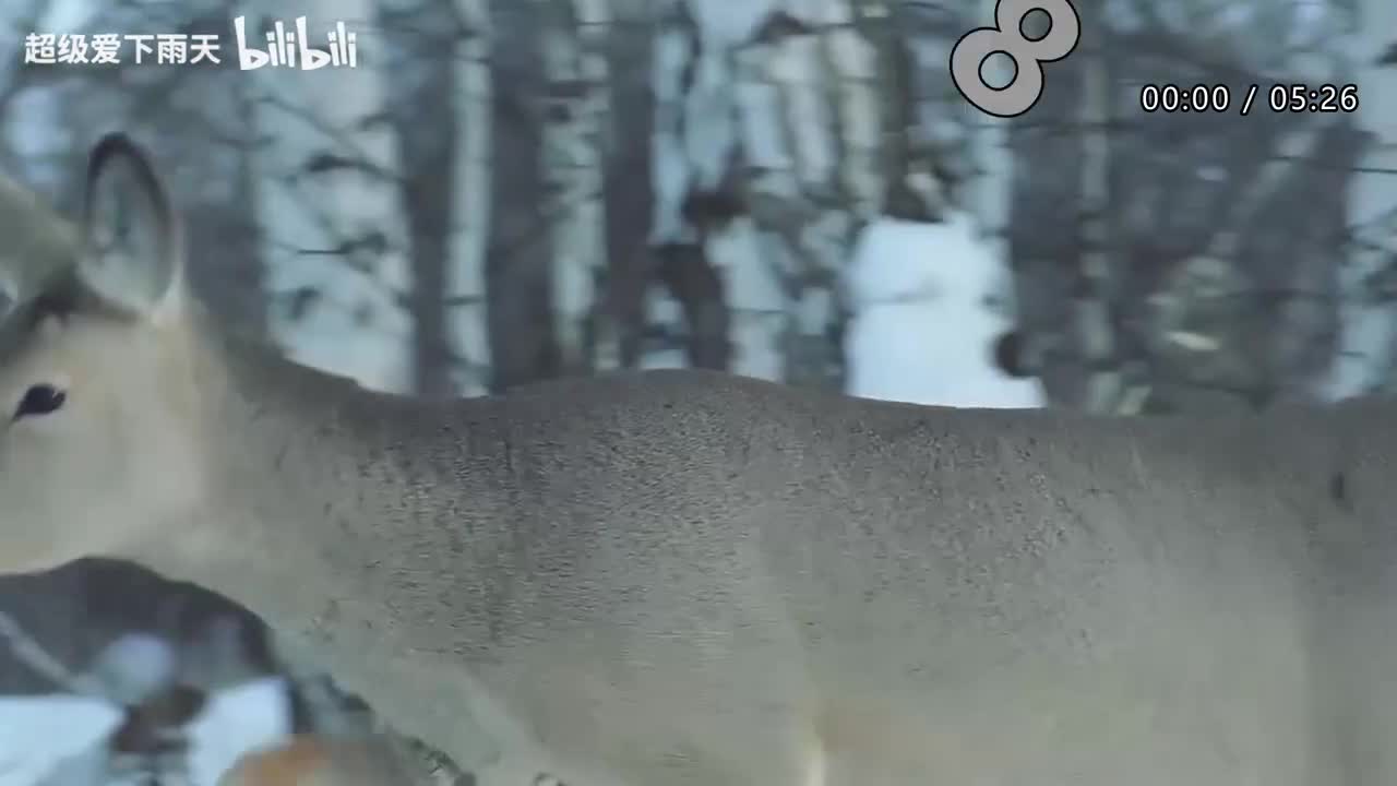 022.林志炫_周传雄-记事本