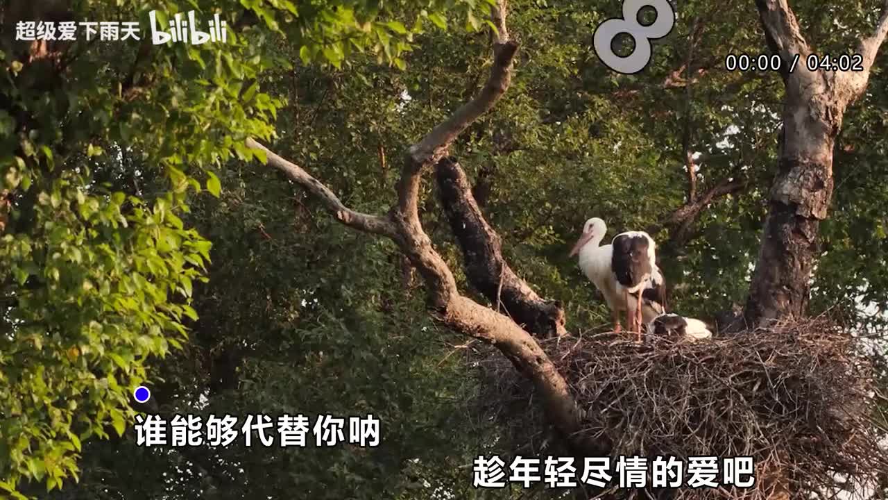 017.许茹芸-想把我唱给你听