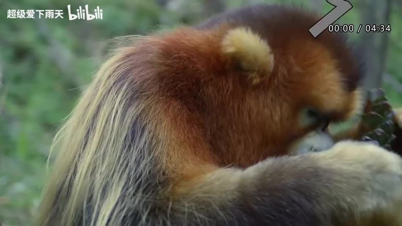 088.谭咏麟-勿忘心安