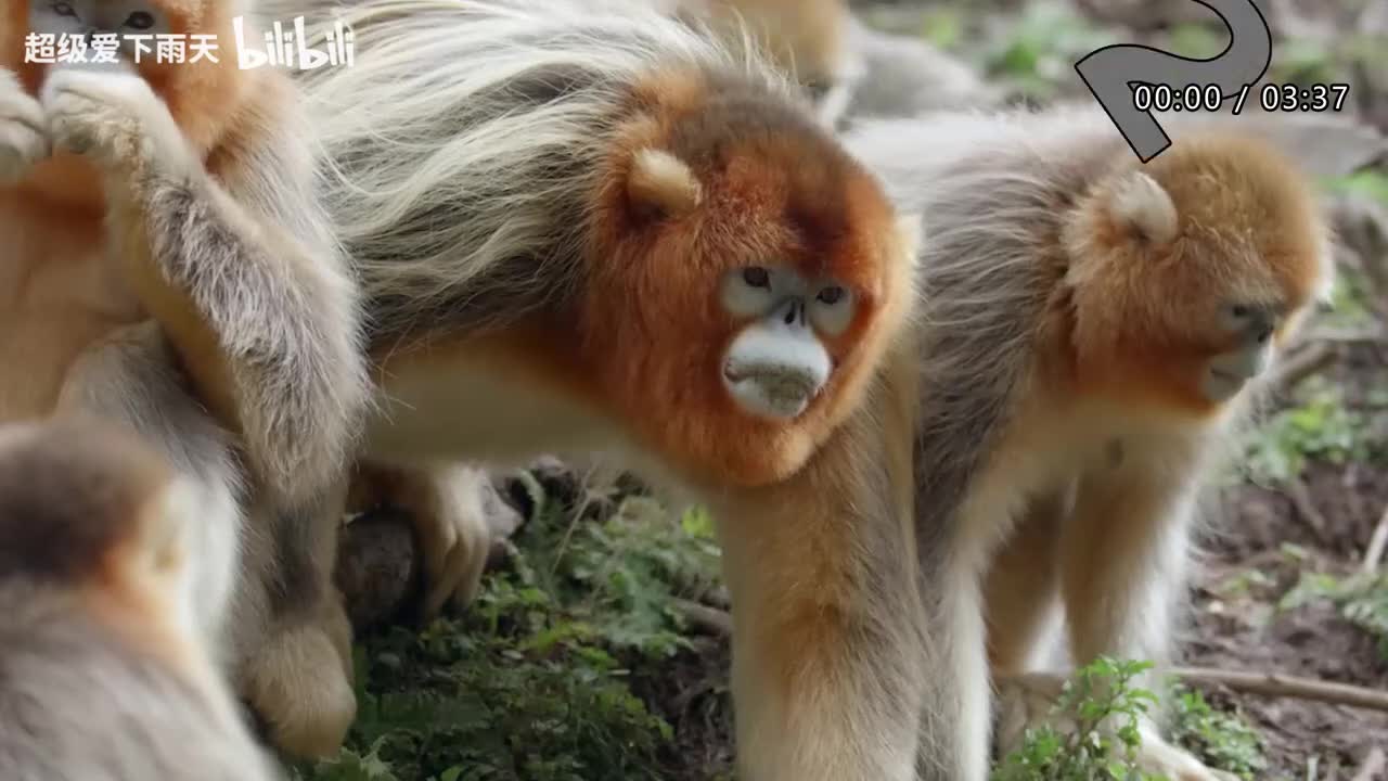 024.郁可唯-很受伤