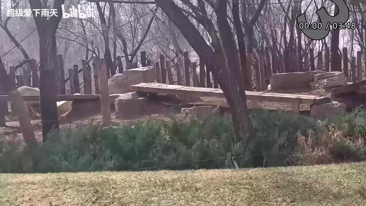 056.李克勤-红日