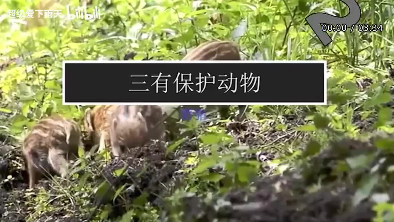 065.许茹芸-我要你