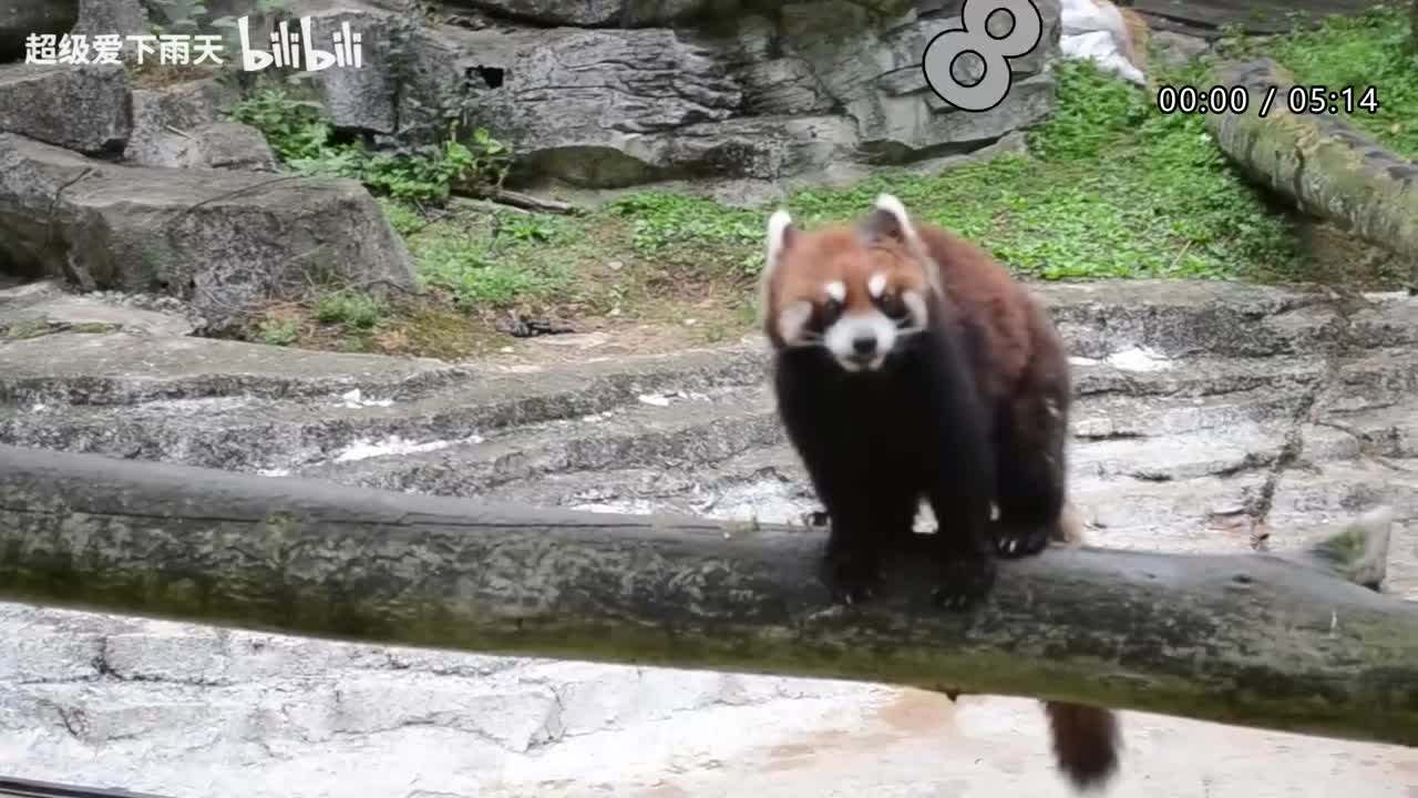 053.张杰_戴佩妮-街角的祝福