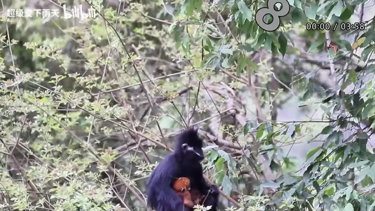 032.林志炫-团圆_快乐老家