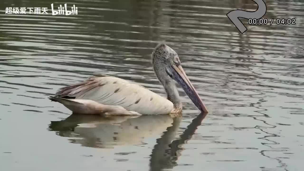 139.吴莫愁-倾城之恋