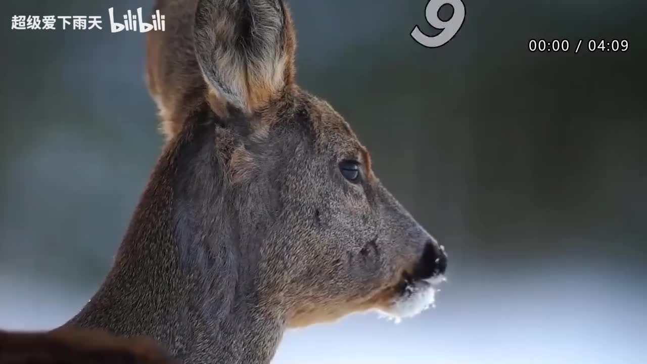 161.凤凰传奇-发财发福中国年