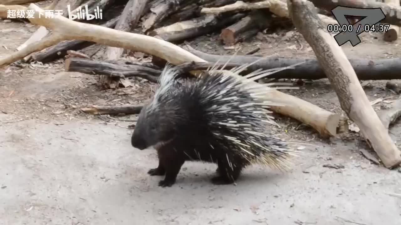 167.韩红-那片海