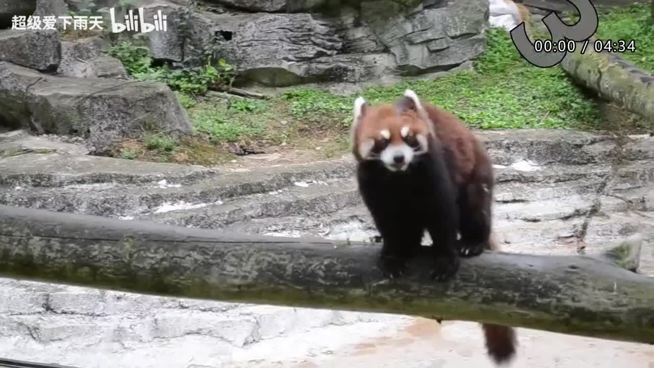 153.阿杜-爱不后悔