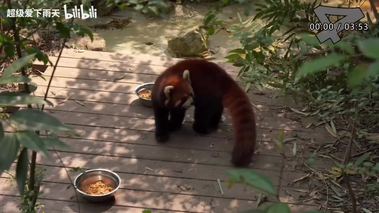 151.陈立农-新鲜