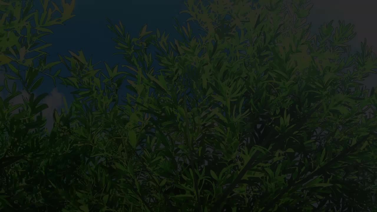 4K 擅长捉弄的高木同学 S1 NCED06