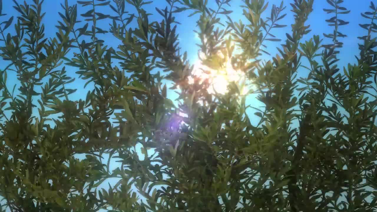 4K 擅长捉弄的高木同学 S1 NCED05