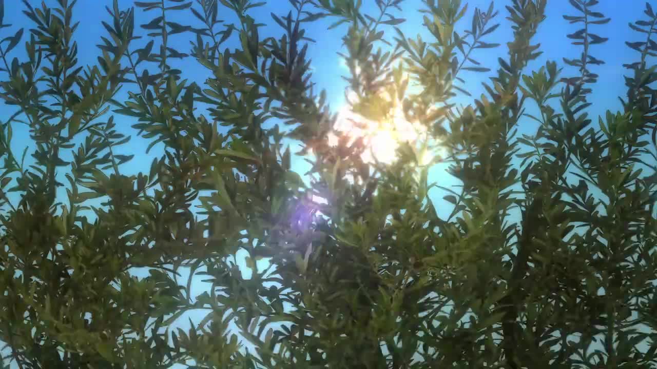 4K 擅长捉弄的高木同学 S1 NCED01