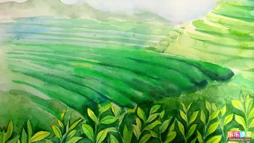 3.2.7 植株的生长需要哪些营养物质