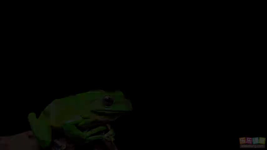 2.1.4 动物细胞的基本结构