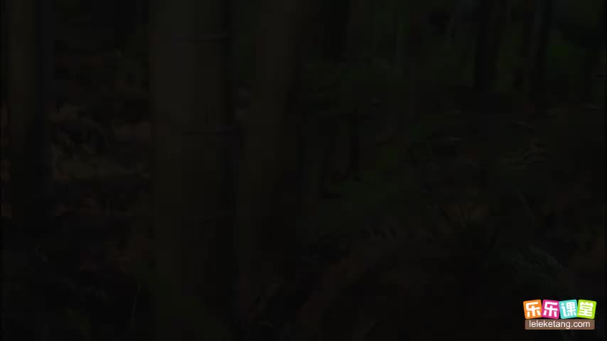 3.2.5 幼根的生长