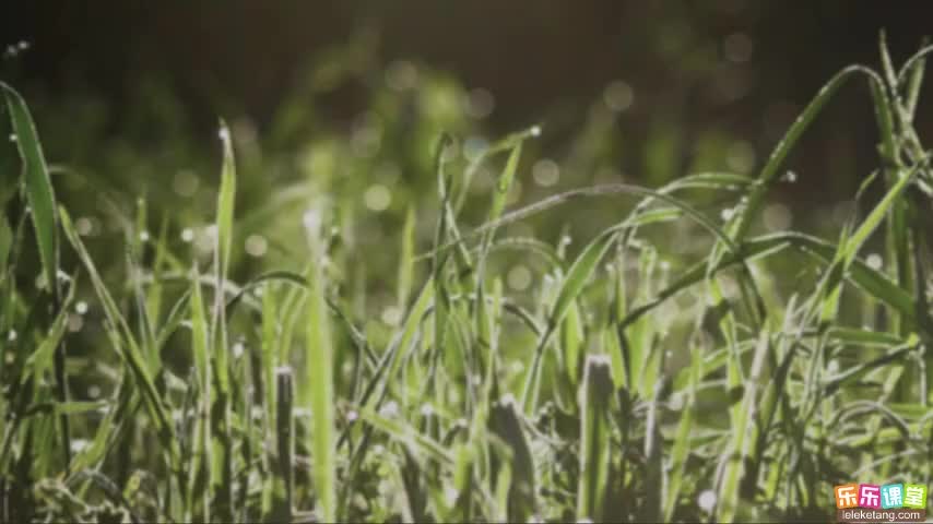 1.2.3 生物因素对生物的影响