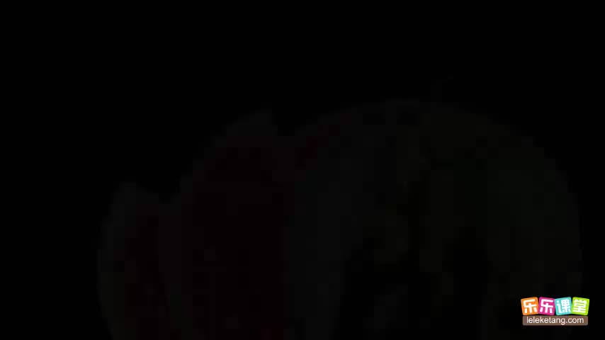 2.1.3 植物细胞的基本结构